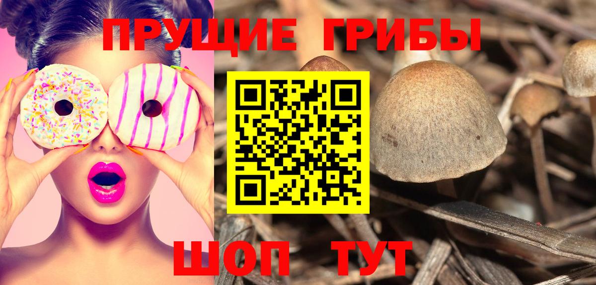 Галлюциногенные грибы Psilocybine cubensis  Псилоцибиновые грибы ЛСД  Анжеро-Судженск  Вход с VPN 
