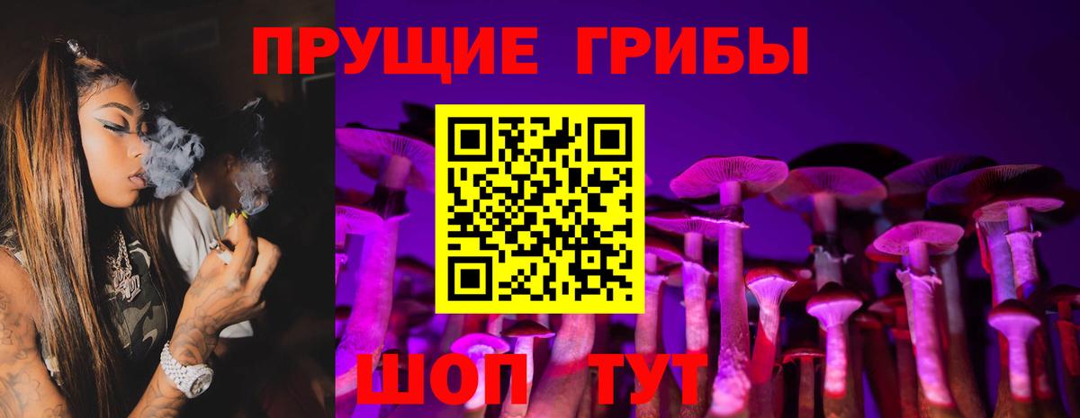 Псилоцибиновые грибы Psilocybine cubensis Анжеро-Судженск